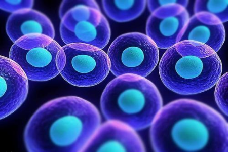 什么叫细胞因子和细胞因子检测？
